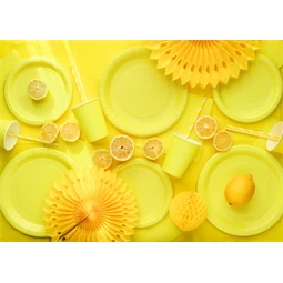 Papírtányér 23 cm sárga S/6