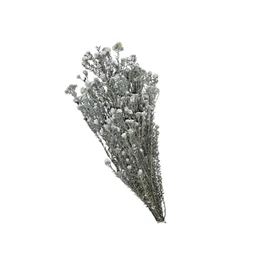 Rizsvirág szárított 100 gr 50 cm