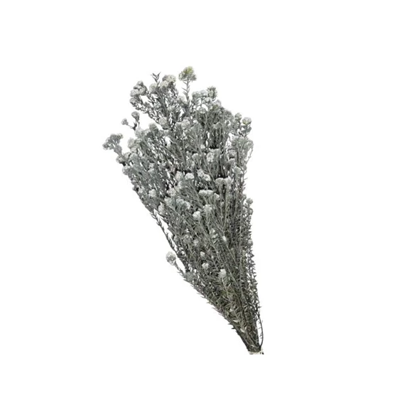 Rizsvirág szárított 100 gr 50 cm