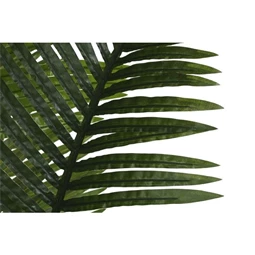 Seleymvirág areca cserepes 100x100x220 cm
