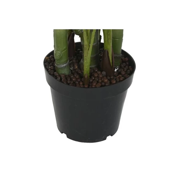 Seleymvirág areca cserepes 100x100x220 cm