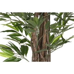 Seleymvirág fikusz cserepes 100x100x180 cm