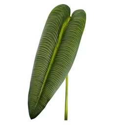 Selyemvirág Anthurium levél 81 cm
