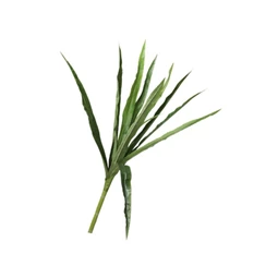 Selyemvirág Sárkányfa 147 cm