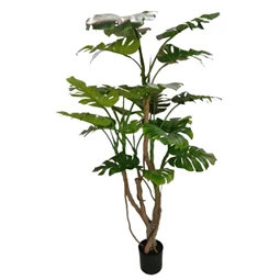 Selyemvirág Monstera cserepes 190 cm