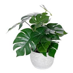 Selyemvirág Monstera kaspóban 40 cm