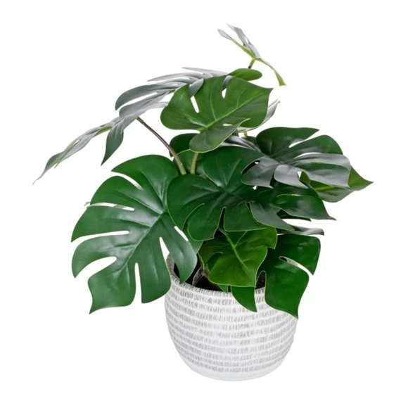 Selyemvirág Monstera kaspóban 40 cm