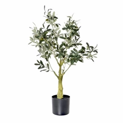 Selyemvirág Olajfa kaspóban 75 cm