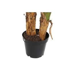 Selyemvirág banán pálma 130x130x200 cm