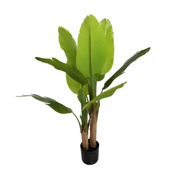 Selyemvirág banánfa 10 levéllel, cserepes 120 cm