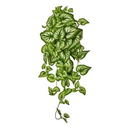 Selyemvirág Begónia futó 65 cm