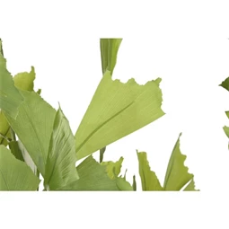 Selyemvirág cserepes 90x70x250 cm