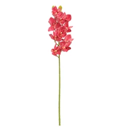 Selyemvirág csónakorchidea 74 cm