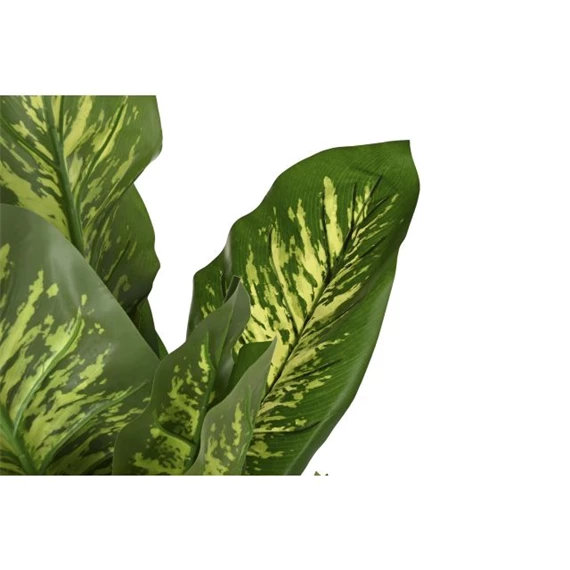 Selyemvirág diffenbachia 50x50x150 cm