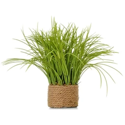 Selyemvirág díszfű kaspóban 28 cm