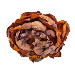 Selyemvirág fej bazsarózsa 10 cm