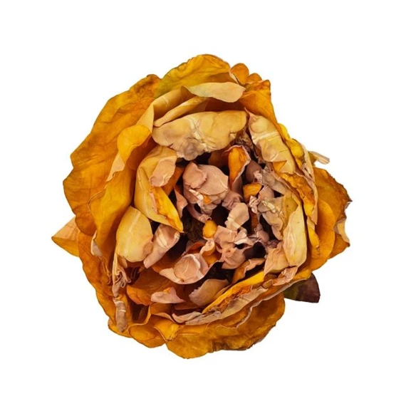 Selyemvirág fej bazsarózsa 10 cm