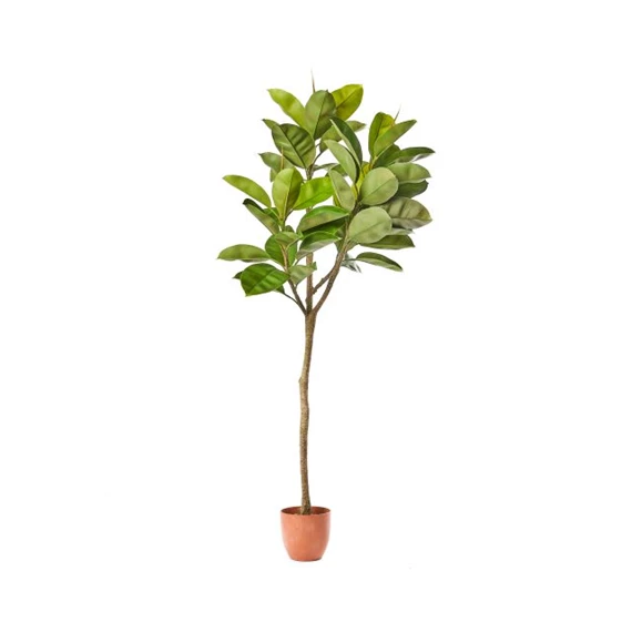 Selyemvirág Ficus cserepes 150 cm