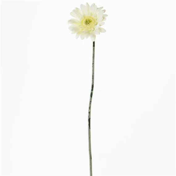 Selyemvirág gerbera 45 cm
