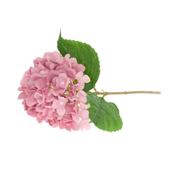 Selyemvirág Hortenzia 51 cm