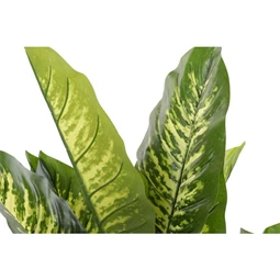 Selyemvirág Diffenbachia kaspóban 75x72x120 cm