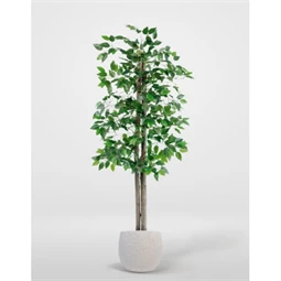 Selyemvirág kaspóban fikusz 80x80x150 cm