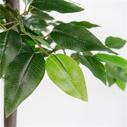 Selyemvirág kaspóban fikusz 80x80x150 cm