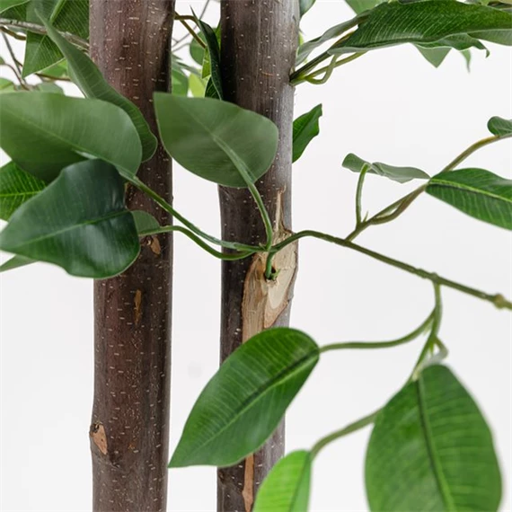 Selyemvirág kaspóban fikusz 80x80x150 cm