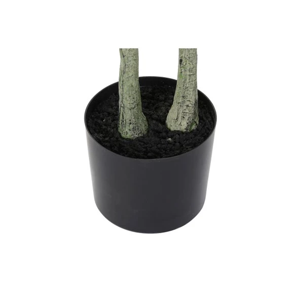 Selyemvirág Olajfa 80x80x180 cm