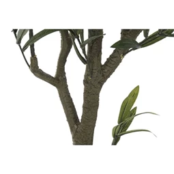 Selyemvirág Olajfa 50x142 cm