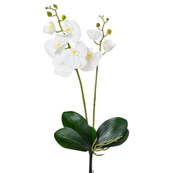 Selyemvirág orchidea, 2 ágú 55 cm