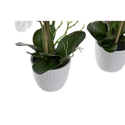 Selyemvirág Orchidea 18x18x60 cm 2 féle