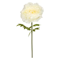 Selyemvirág óriás Peonia XXL 150x55 cm