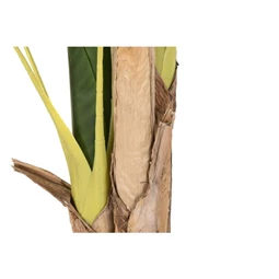 Selyemvirág Pálma 90x90x200 cm