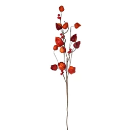 Selyemvirág physalis 20x70x6 cm