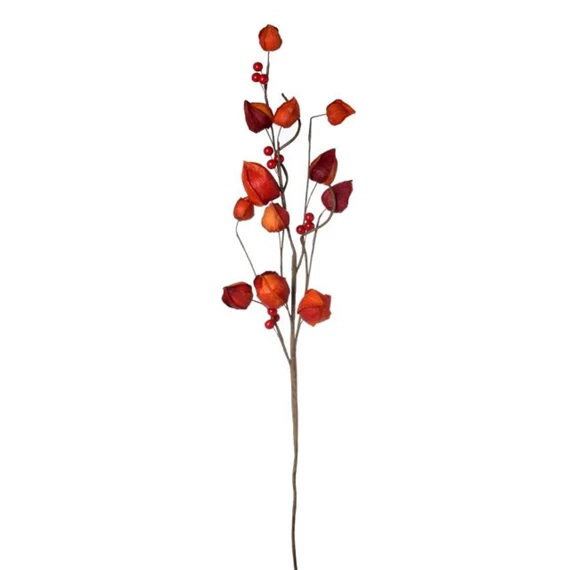 Selyemvirág physalis 20x70x6 cm