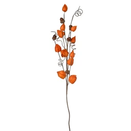 Selyemvirág physalis 25x70x6 cm