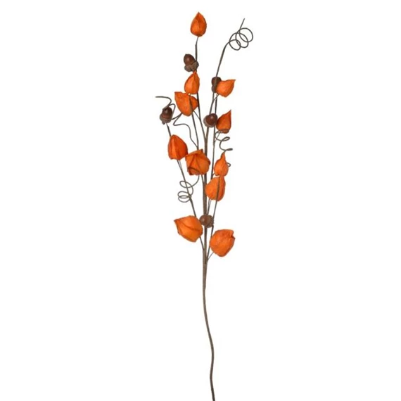 Selyemvirág physalis 25x70x6 cm