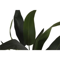 Selyemvirág 80x80x180 cm