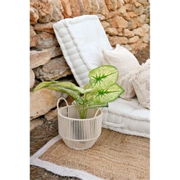 Selyemvirág 30x43x54 cm 2 féle