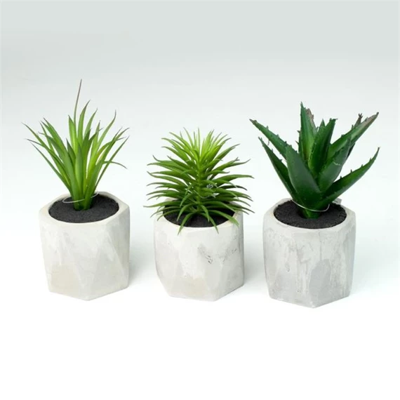 Selyemvirág pozsgások kaspóban 18 cm 3féle