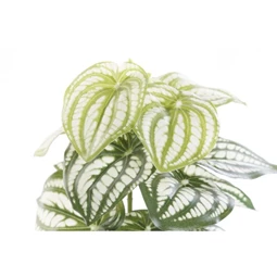 Selyemvirág 13x13x27 cm