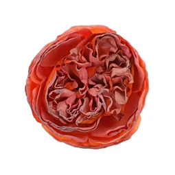 Selyemvirág rózsa virágfej (min.menny. 12) 6 cm
