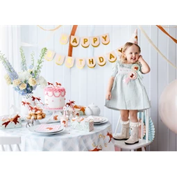 Snack dobozok lovak, mix S/3