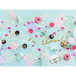 Szalvéta kaktusz, mix, 11,5x13,5 cm S/20