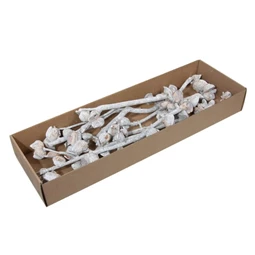 Szárazág 5-9 virággal S/9