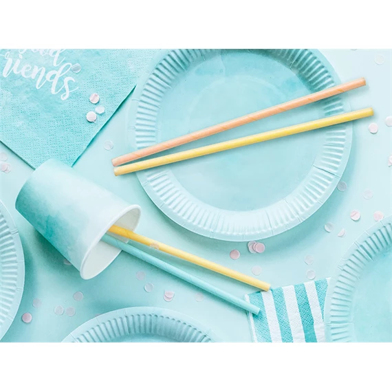 Szívószál papír 19,5cm színes S/10