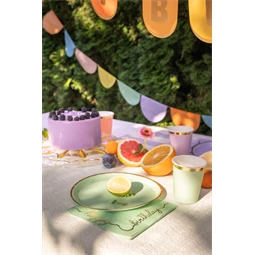 Papírtányér mix 21 cm S/6