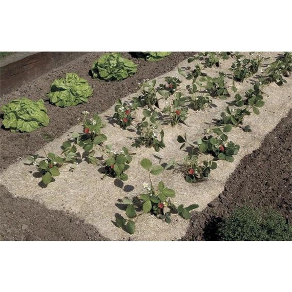 Természetes talajtakaró 50 cm x 3 m