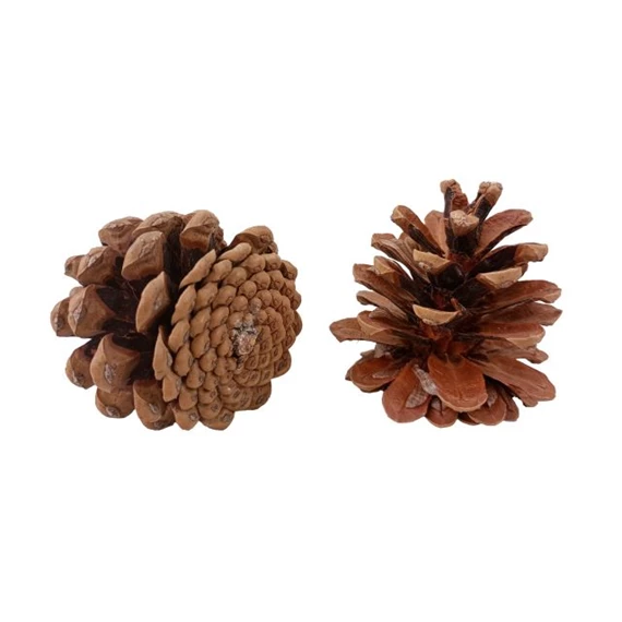 Toboz hálós 6-8 cm S/30